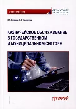 Казначейское обслуживание в государственном и муниципальном секторе: Учебное пособие