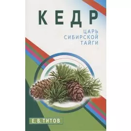 Кедр - царь сибирской тайги
