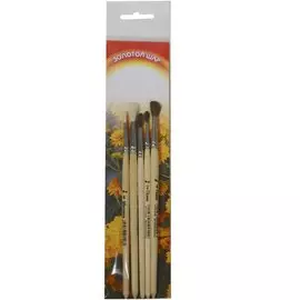 Кисти 5шт щетина №4, коза №4, белка №3, пони №2, пони №4 "Золотой шар"