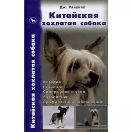 Китайская хохлатая собака. История. Стандарт. Содержание и уход.