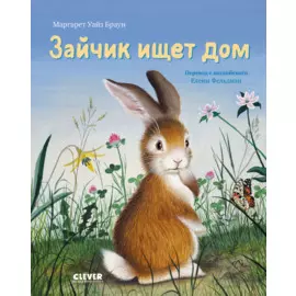 Зайка ищет дом