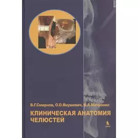Клиническая анатомия челюстей