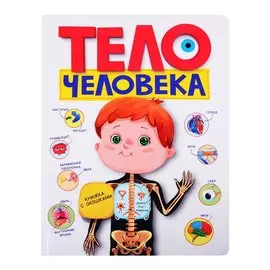 Тело человека. Книжка с окошками