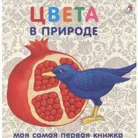 Книжки-картонки. Цвета в природе