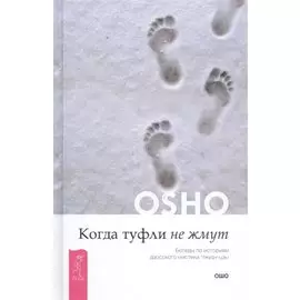 Когда туфли не жмут. Беседы по историям даосского мистика Чжуан-цзы
