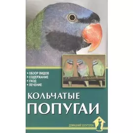 Кольчатые попугаи. Обзор видов, содержание, уход, лечение.