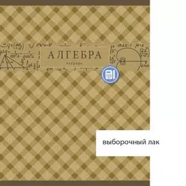 Коллекция знаний. Алгебра 48л. (клетка) ТЕТРАДИ А5 (*скрепка) ПРЕДМЕТНЫЕ 48Л. Обложка: лакирование