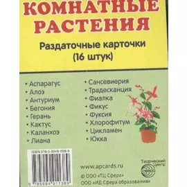 Дем. картинки СУПЕР Комнатные растения.16 раздаточных карточек с текстом (63х87мм)