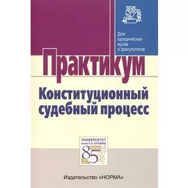 Конституционный судебный процесс. Практикум