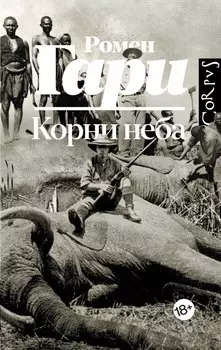 Корни неба