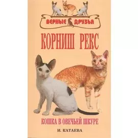 Корниш рекс