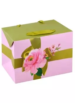 Коробка-пакет складная "С пожеланием счастья" 23*16*11 ассорти