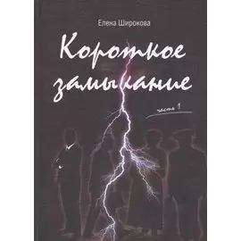 Короткое замыкание. Часть 1. Утки на плинтусе