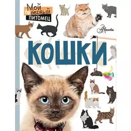 Кошки
