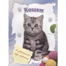 Кошки