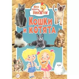 Кошки и котята