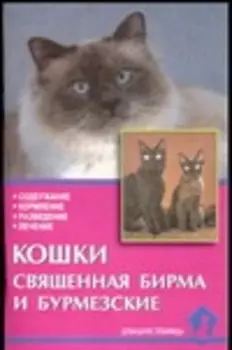 Кошки священная бирма и бурмезские