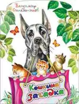 Кошкина загадка