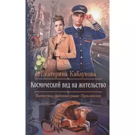 Космический вид на жительство