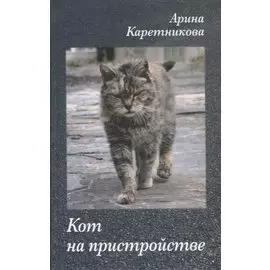Кот на пристройстве