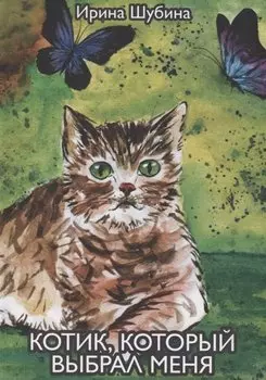 Котик, который выбрал меня