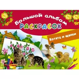 Котята и щенки