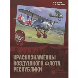 Краснознаменцы воздушного флота республики