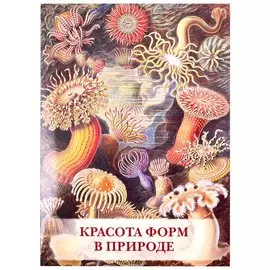 Красота форм в природе