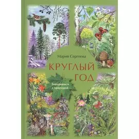 Круглый год