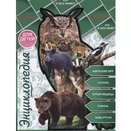 Кто живет в лесу?