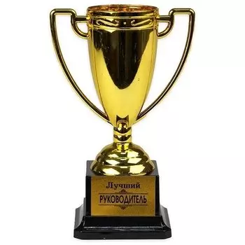 Кубок Лучший руководитель, 18,5 см Т-9949