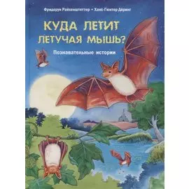 Куда летит летучая мышь?