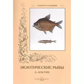 Экзотические рыбы