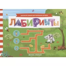Лабиринты Книжка с заданиями (мМалКнДляМалДет) Шаркова