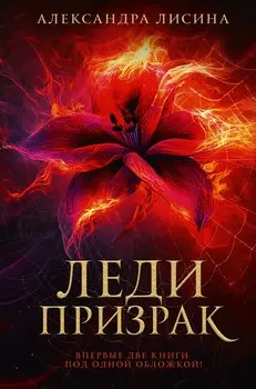 Леди-призрак: Вакансия для призрака, Призрак на задании