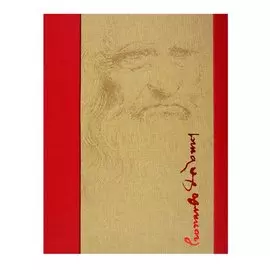 Леонардо 500