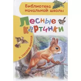 Лесные картинки
