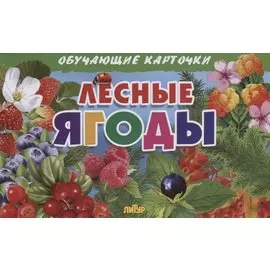 Лесные ягоды. Обучающие карточки