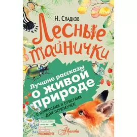 Лесные тайнички