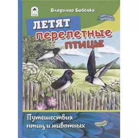 Летят перелетные птицы