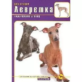 Левретка. Содержание и уход