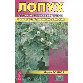 Лопух против воспалений суставов и почечнокаменной болезни