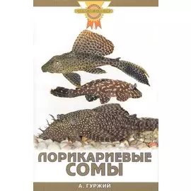 Лорикариевые сомы. (цвет)