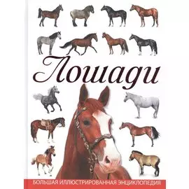 Лошади