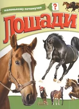 Лошади