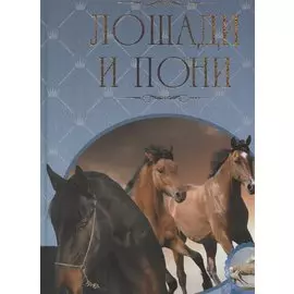 Лошади и пони. Иллюстрированная энциклопедия