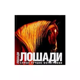 Лошади. Самые лучшие фотографии