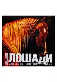 Лошади. Самые лучшие фотографии: Альбом