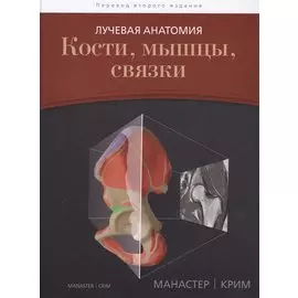 Лучевая анатомия. Кости, мышцы, связки