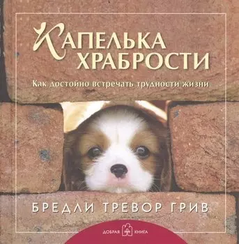 Лучшему другу. Капелька храбрости. Как достойно встречать трудности жизни (комплект из 3 книг)